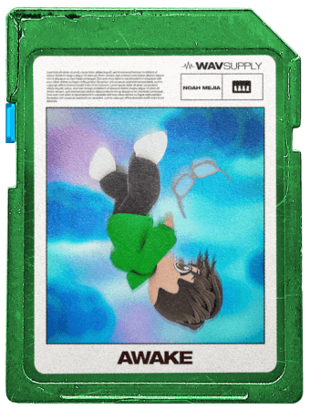 WavSupply Noah Mejia Awake (One Shot Kit + Vocal Chops) WAV MiDi